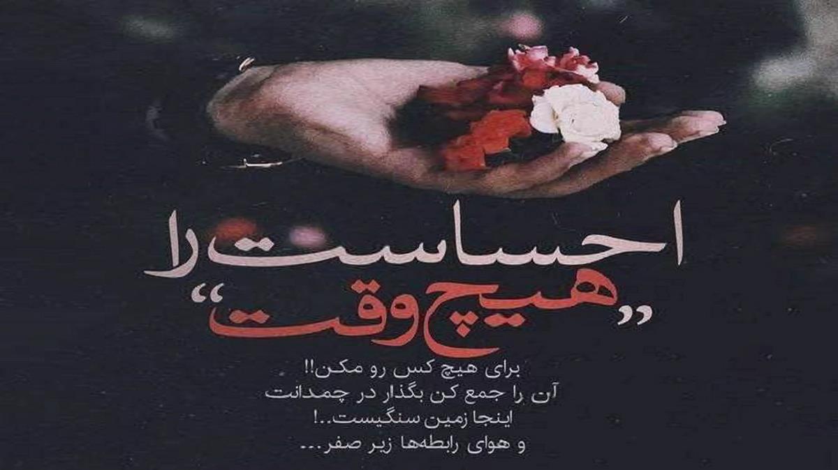 روبایل عظیم اف صنوبر